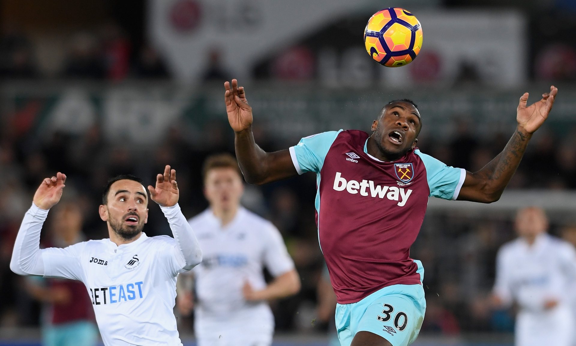 永恒的记忆 永恒的记忆